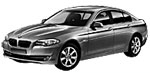 BMW F10 P193E Fault Code